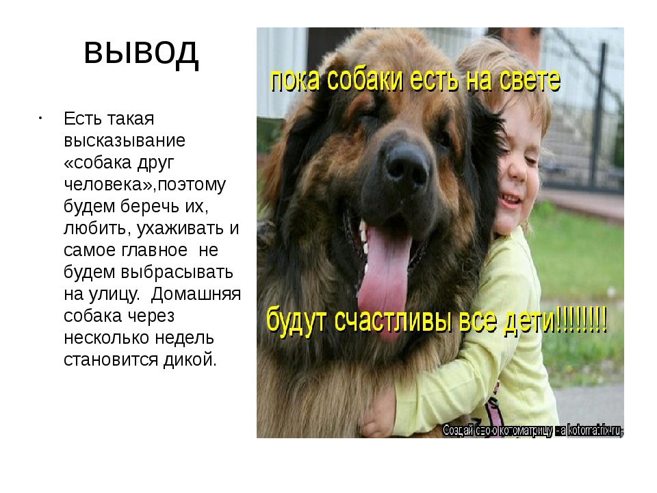 Преданность собак – природный инстинкт или выработанное качество?