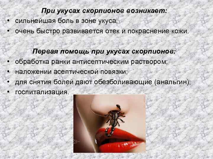 Укус скорпиона - симптомы болезни, профилактика и лечение укуса скорпиона, причины заболевания и его диагностика на eurolab