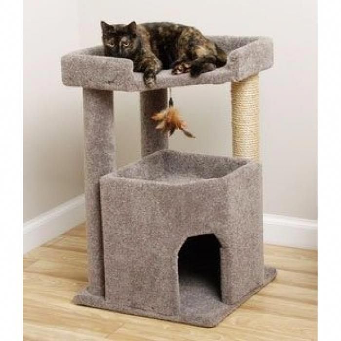 Нужен ли домик для кошки? какая польза