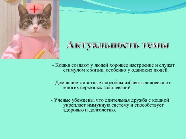 Лечат ли кошки гинекологию – сайт про здоровье