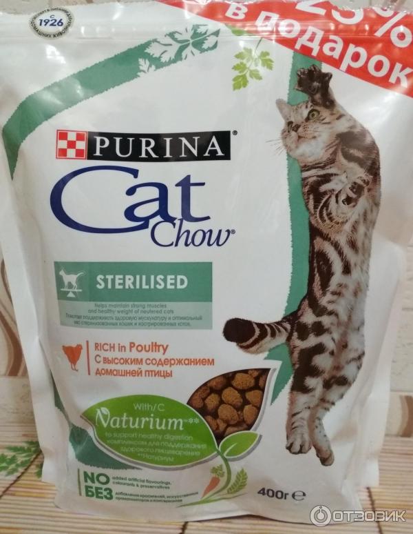 Кэт чау для кошек — разбор состава корма и отзыв ветеринара