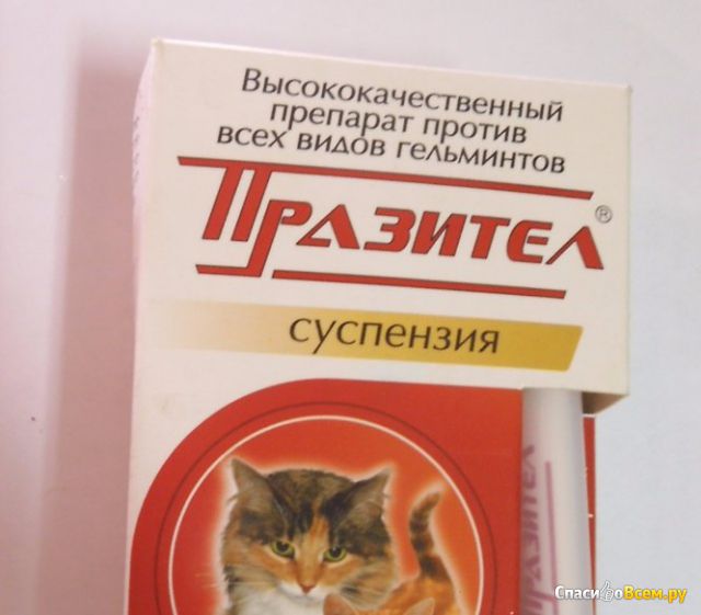 Лекарства для кошек от глистов: названия и виды препаратов