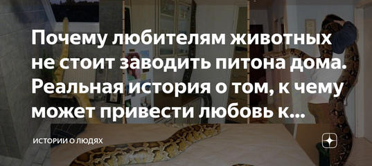 Обыкновенный удав. о содержании и уходе удава