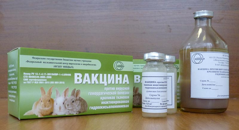 Комплексная ассоциированная вакцина для кроликов от миксоматоза и вгбк: инструкция по применению
