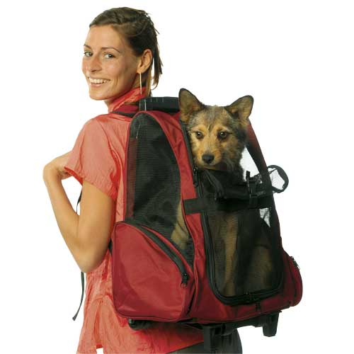 Сумка-переноска для собак мелких пород: кенгуру, рюкзак, слинг и другие виды сумок для маленьких собачек, рекомендации по выбору
