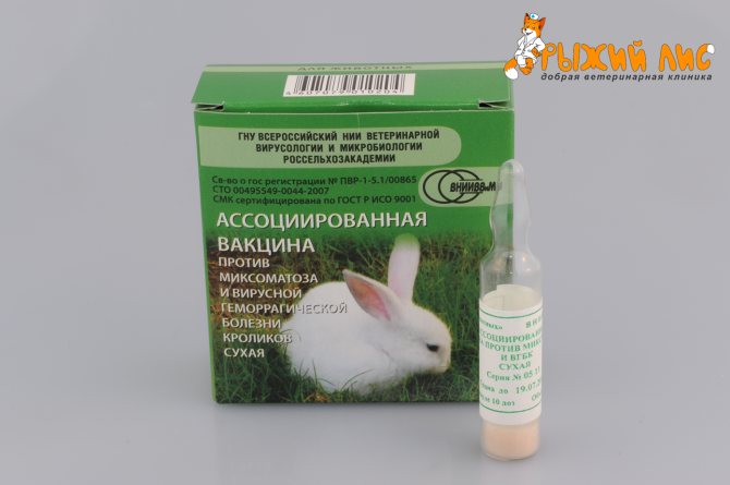 Ассоциированная вакцина для кроликов инструкция (фото и видео)