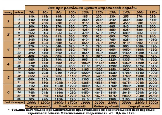 Вес чихуахуа по месяцам таблица