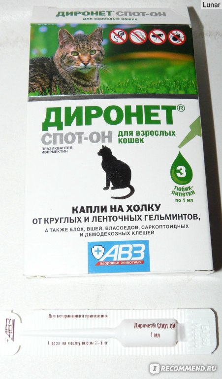 Диронет спот он для кошек - инструкция по применению - kotiko.ru