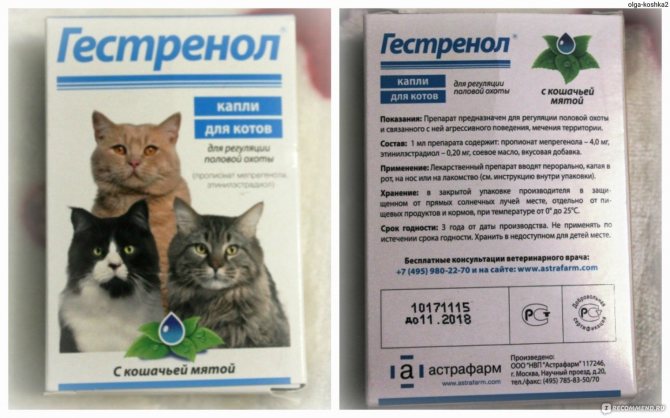 Капли для кошек гестренол: применение и отзывы ветеринаров - kotiko.ru