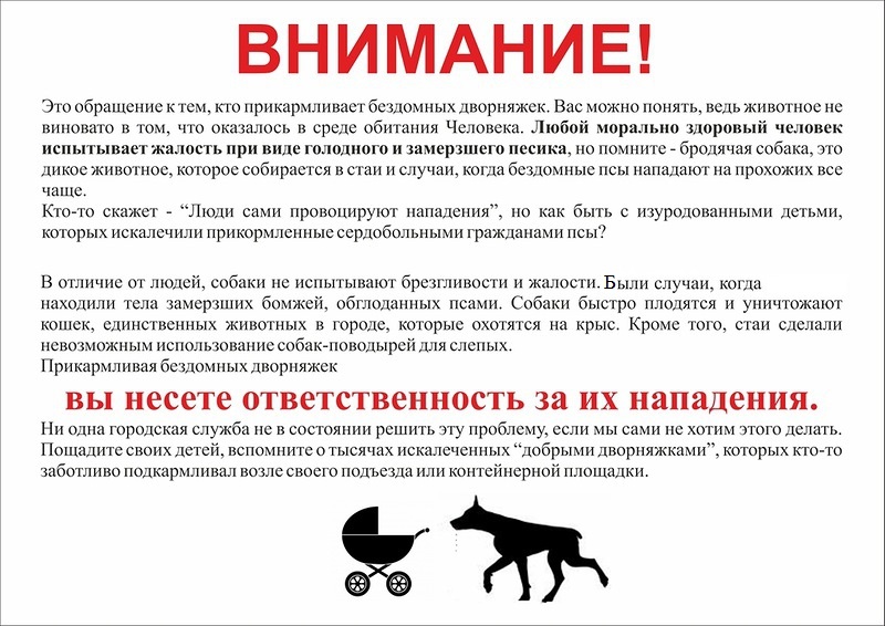 Регистрация домашних животных в россии - в 2020 году, собак и кошек