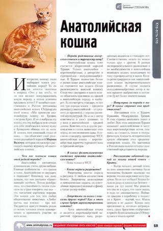 Турецкий ван кошка. особенности, уход и цена турецкого вана