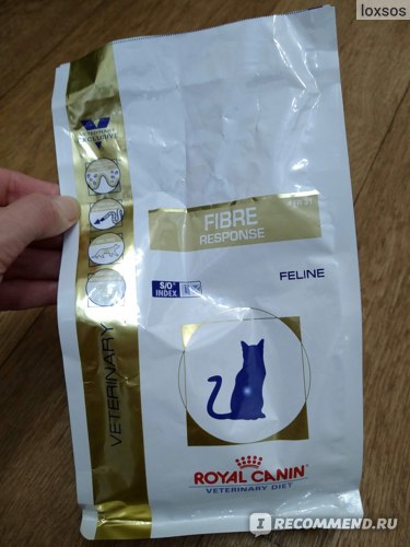 Вазелиновое масло при запорах у кошек: как применять, дозировка