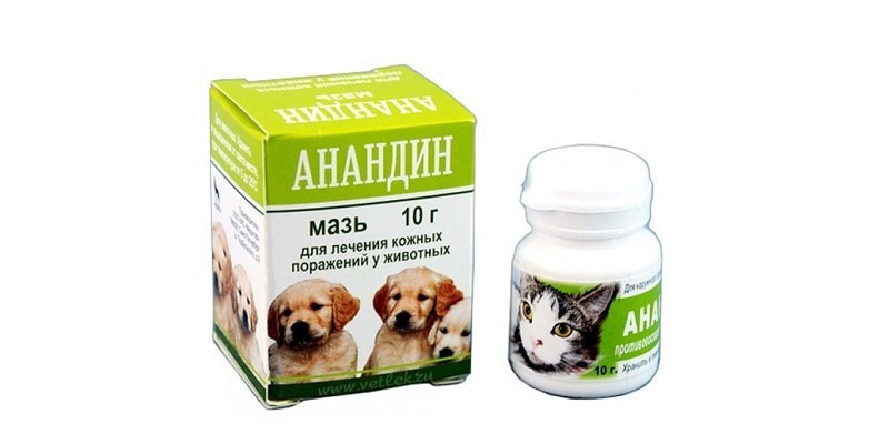 Анандин для собак: противовирусный препарат для различных болезней- обзор