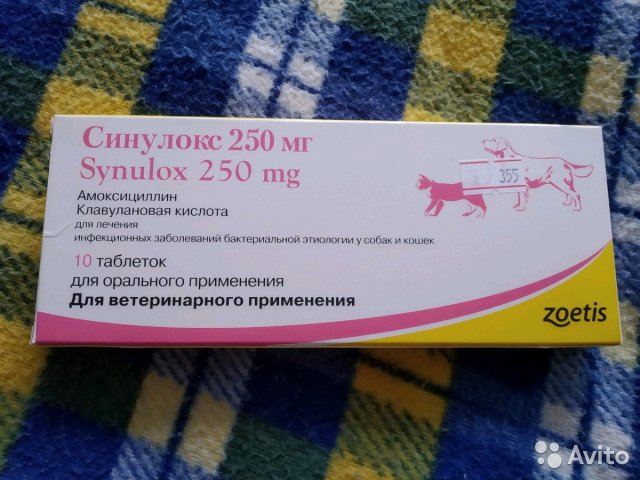 Синулокс 50 250 500 антибиотик для кошек и собак инструкция по применению лекарства 
синулокса суспензии в ветеринарии дозировка отзывы