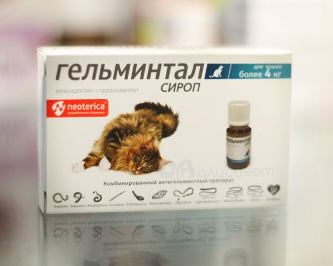 Дегельминтизация перед вакцинацией: за сколько дней до прививки давать глистогонное кошке