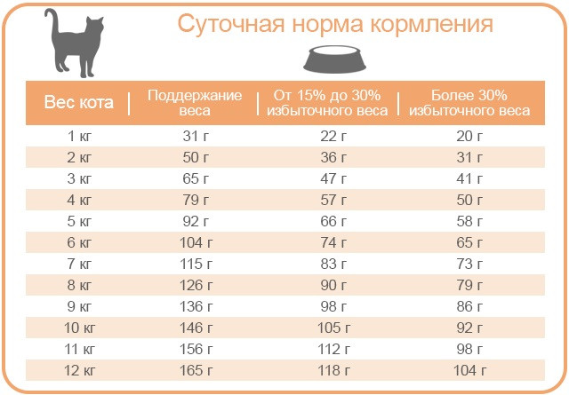 ᐉ здоровое питание: сочетание сухого и влажного корма - ➡ motildazoo.ru