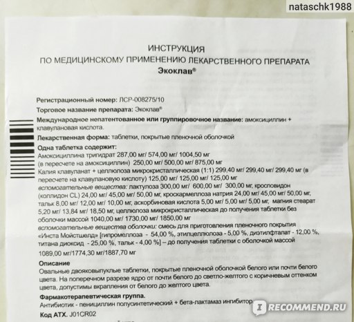 Амоксициллин для кошек: как правильно применять