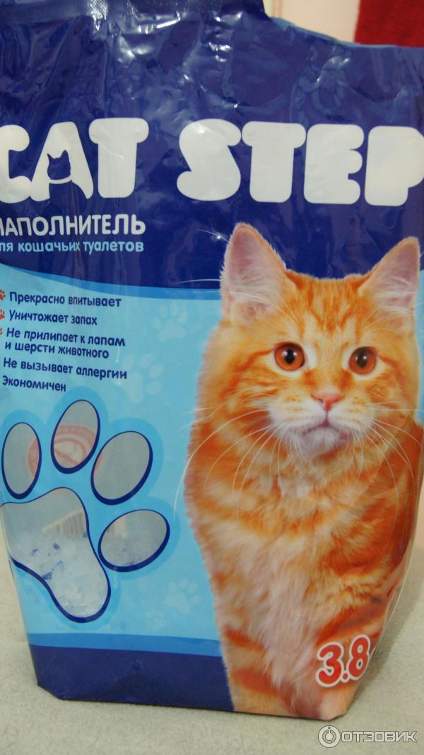Котенок ест наполнитель: почему кошка есть глину для туалета? что делать, если кот кушает впитывающий наполнитель из лотка?
