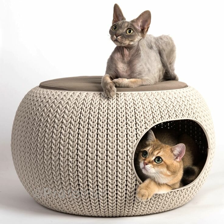 Игрушки для кошек своими руками: как в домашних условиях сделать игрушку из бумаги и коробки для кота? идеи самодельных изделий из подручных материалов для котят