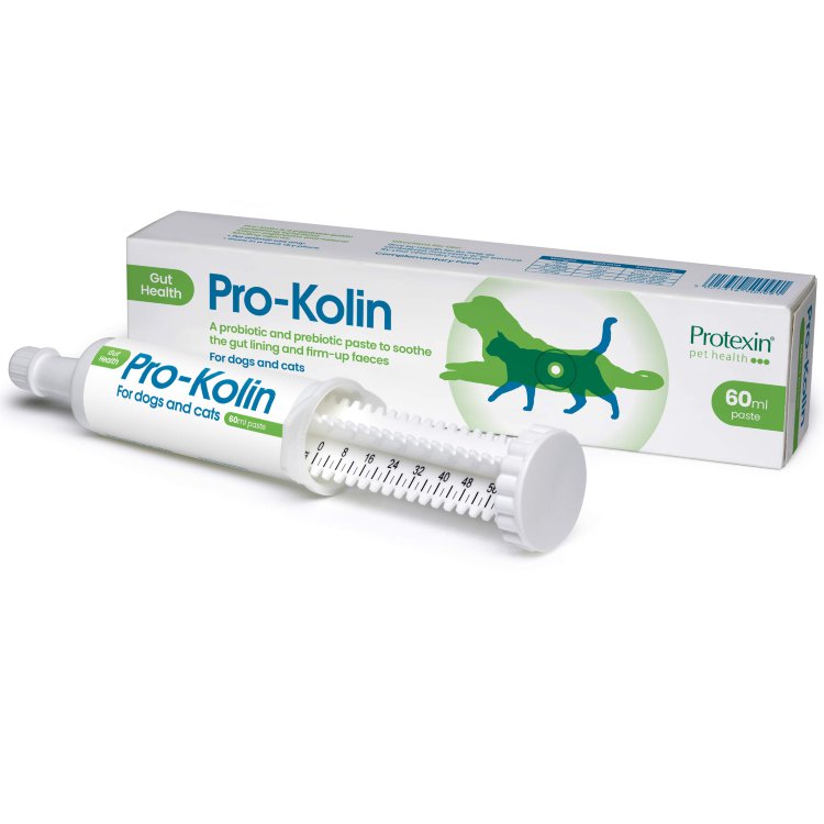 Проколин (pro-kolin) для собак: инструкция по применению