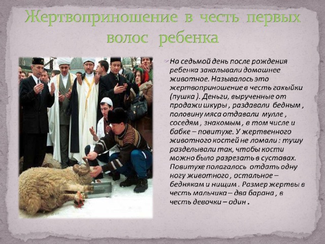 О христианском отношении к собаке / православие.ru
