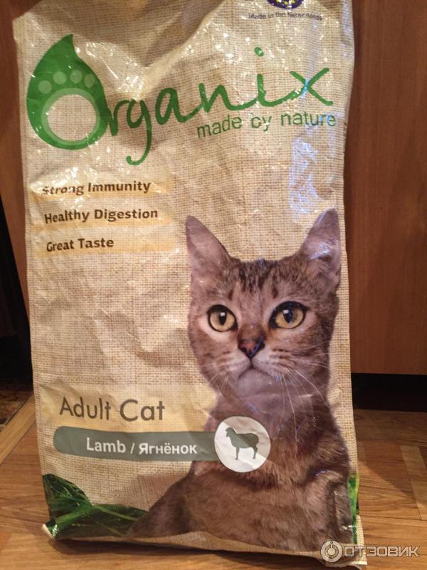 Organix корм для кошек: отзывы, где купить, состав