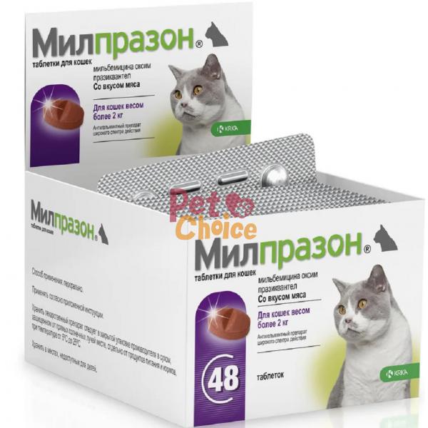 Азинокс для кошек: инструкция по применению, действие, эффективность и отзывы специалистов
