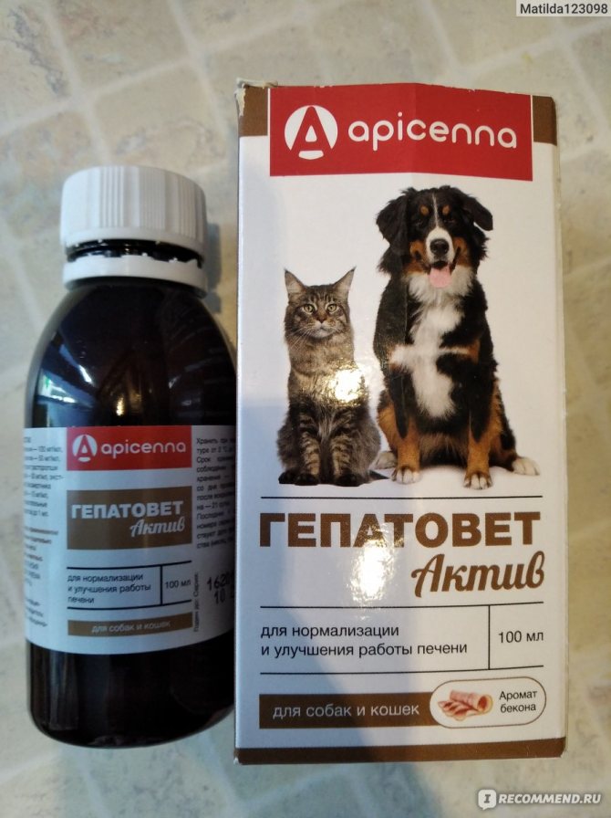 Гепатовет / ветеринарные препараты купить в ветеринарном интернет-магазине "ветторг", в зоомагазине "ветторг" в москве