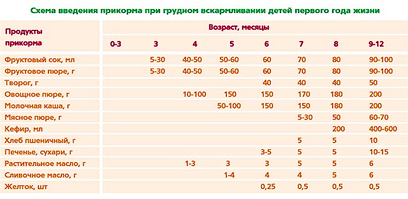 Схема введения прикорма детям первого года жизни