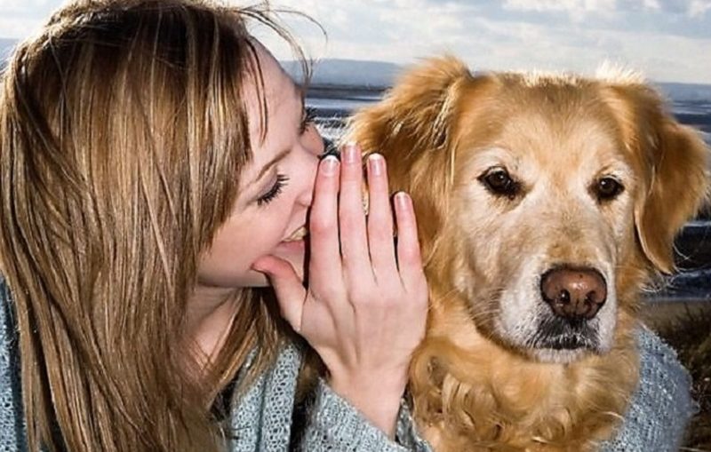 Как понять, что собака тебя любит: факты и признаки проверенные учеными и временем
