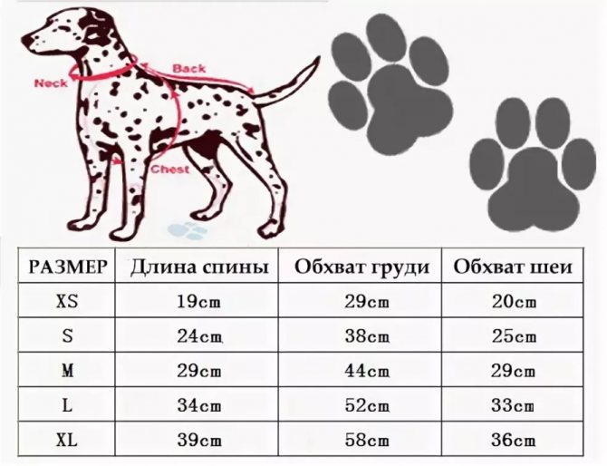 Размеры шлеек для собак таблица по породам