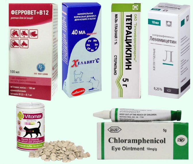 Марфлоксин (таблетки) для собак и кошек | отзывы о применении препаратов для животных от ветеринаров и заводчиков