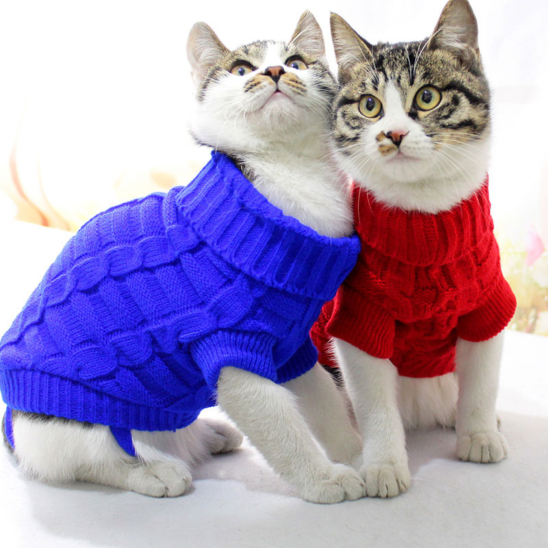 Одежда для кошек – прихоть хозяина или необходимость?