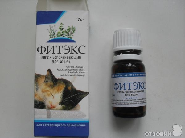 Успокоительное, снотворное для кошек: гормональное, гомеопатическое, химическое. действие, показания, противопоказания