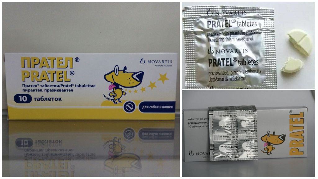 Прател (pratel), таблетки против глистов