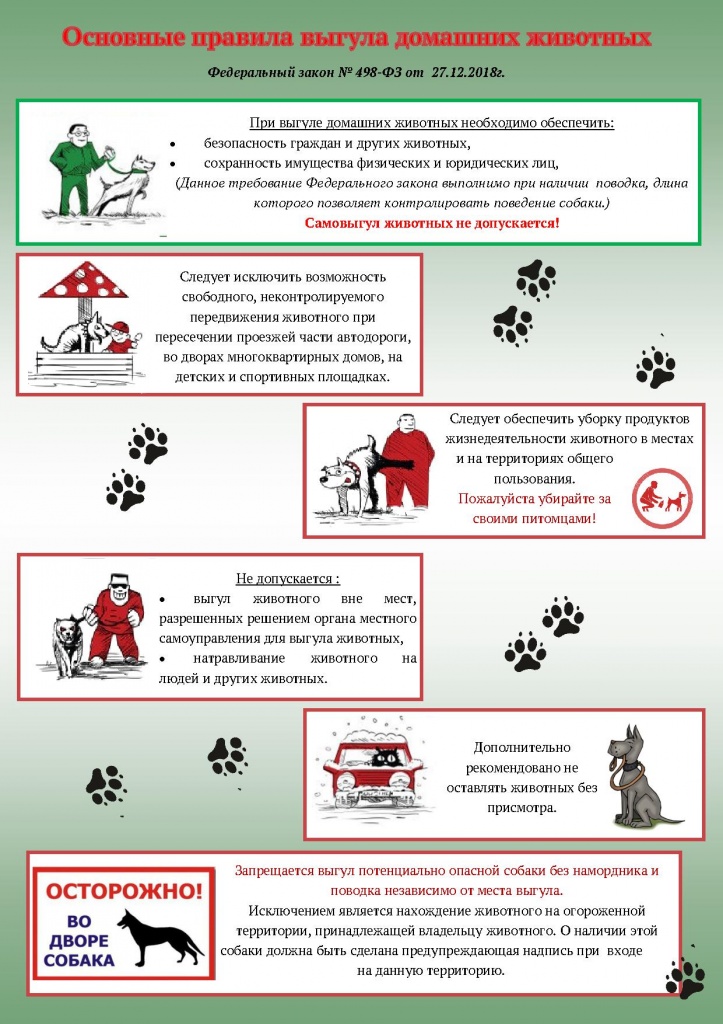 С 2021 года в россии бездомных собак будут стерилизовать и возвращать на улицы - legal.report