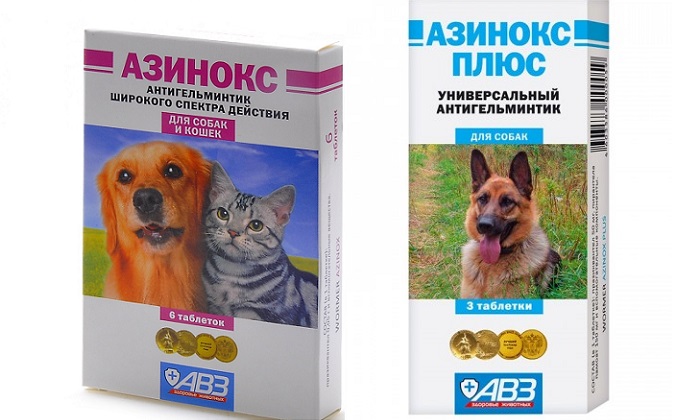 Азинокс для кошек – лекарство от гельминтов