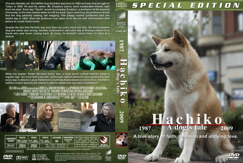 Порода собаки из фильма «хатико» и всё о породе акита-ину