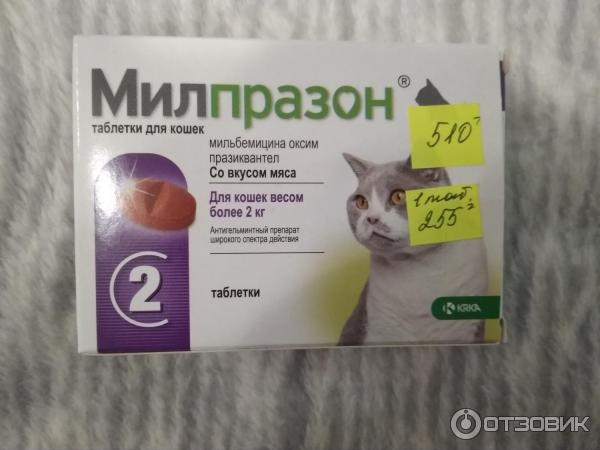 Милпразон для кошек. как применять? схема приема таблеток от глистов, цена и описание препарата