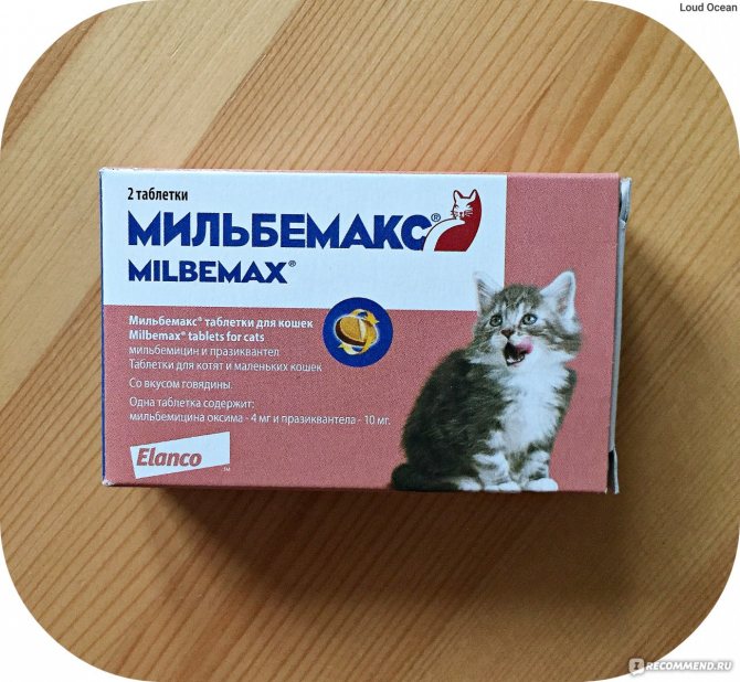 Мильбемакс для кошек: отзывы, инструкция, цена - петобзор