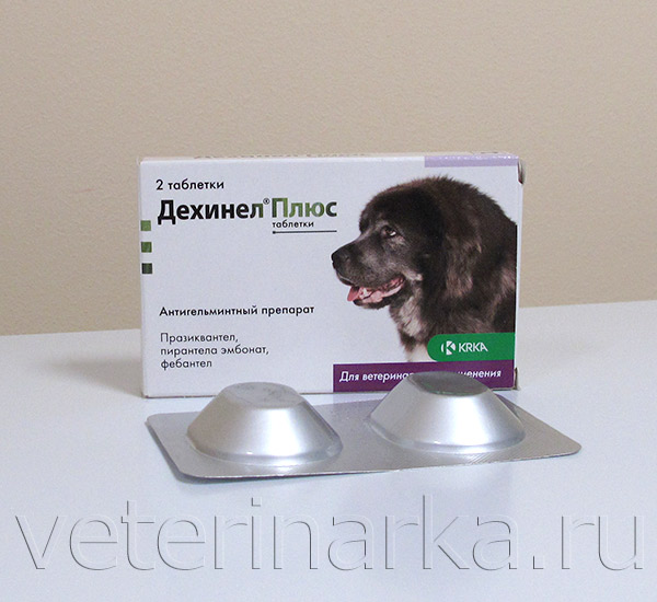 Дехинел плюс для собак: инструкция по применению, схема лечения, дозировка