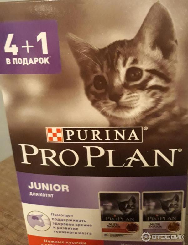 Корм purina pro plan для кошек