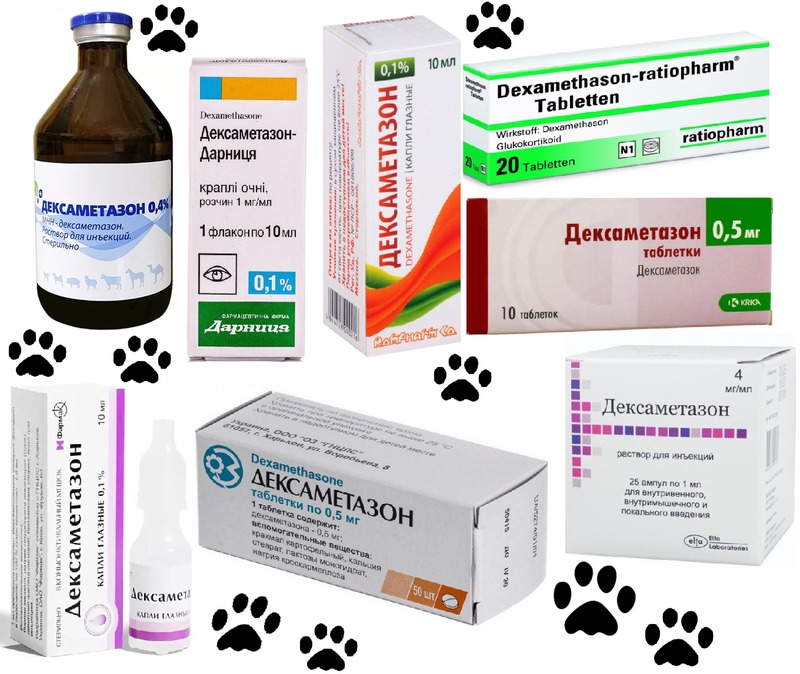 Ветеринарный препарат Дексаметазон