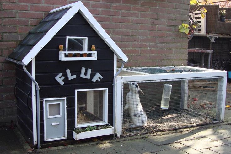 Как самостоятельно построить дом для кролика