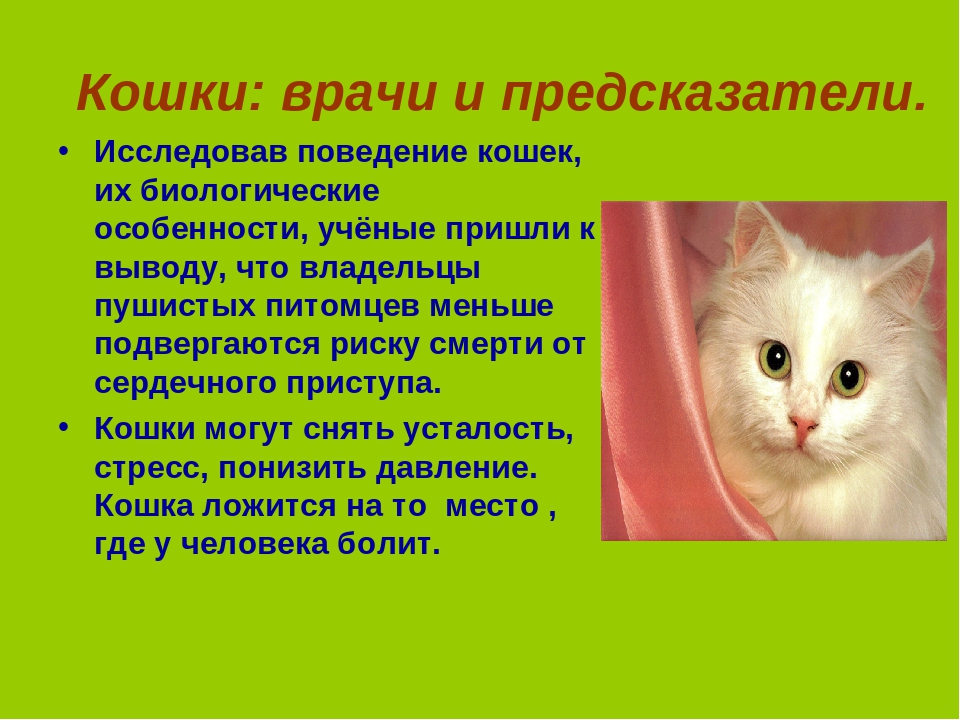 =^..^= фелинологический альянс украины - психология и психологические проблемы кошек