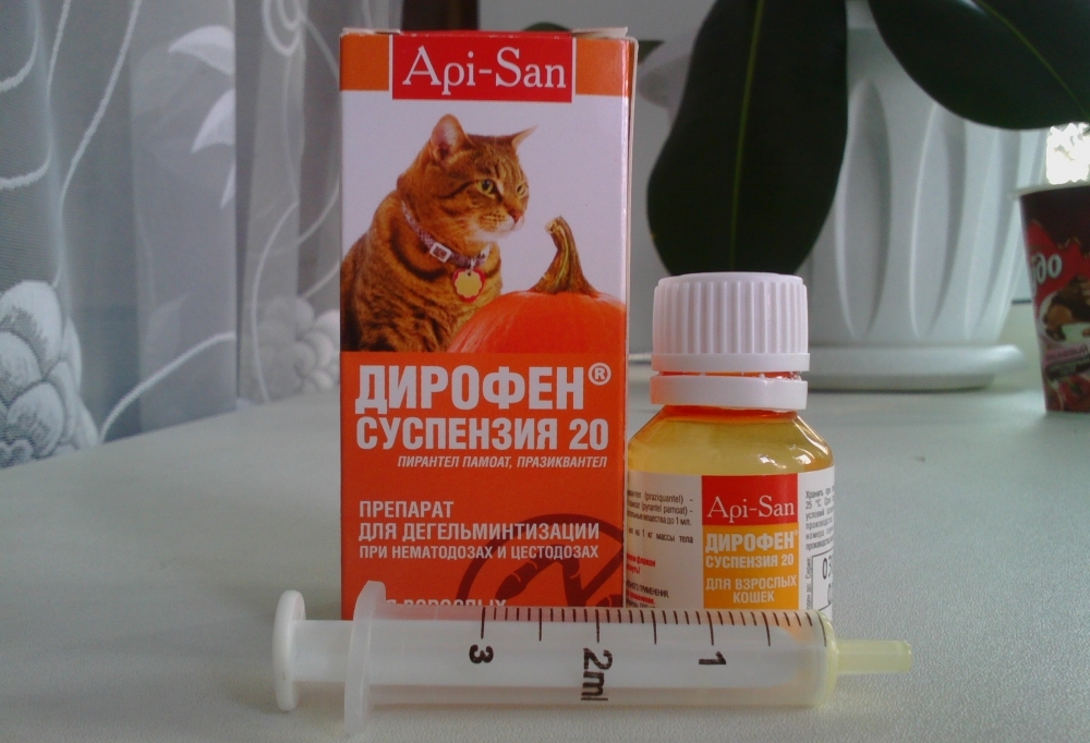 Вазелиновое масло для лечения запоров у кошек