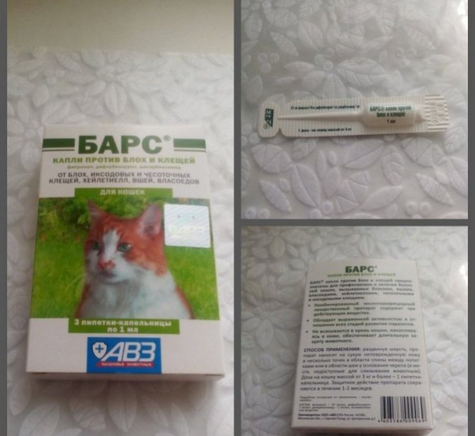 Инструкция по использованию капель от блох барс для кошек