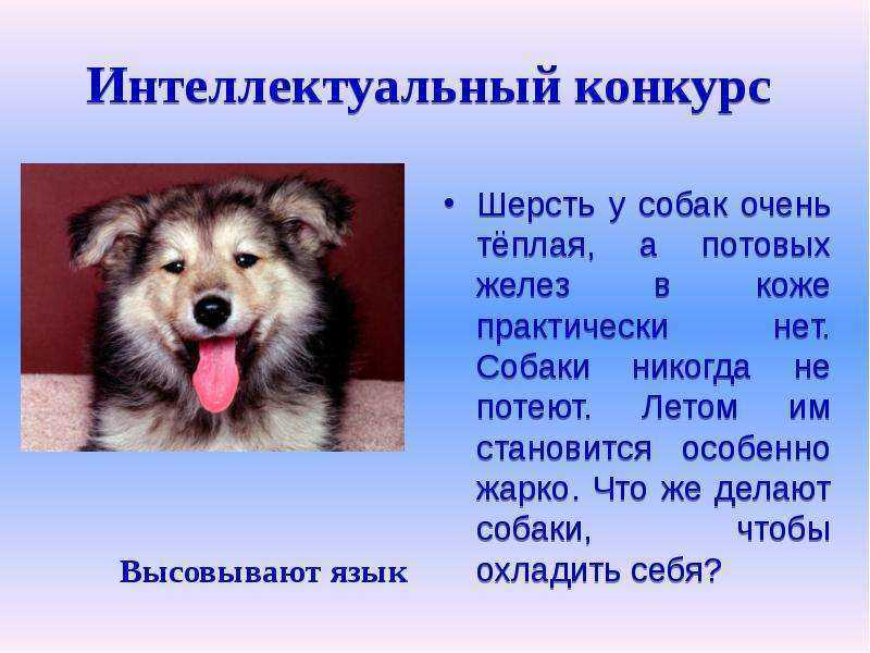 Какие обследования нужны при повышенной потливости и как с ней бороться