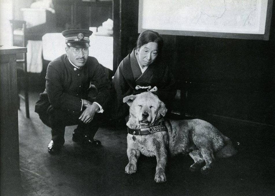 Редкие исторические фотографии хатико и история самой верной собаки в мире