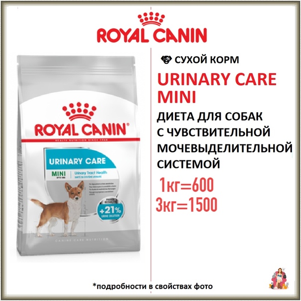 Все о кормах для собак мелких пород royal canin